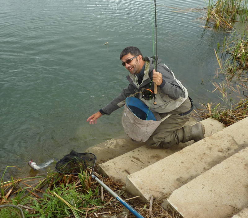 Pesca en lagos intensivos